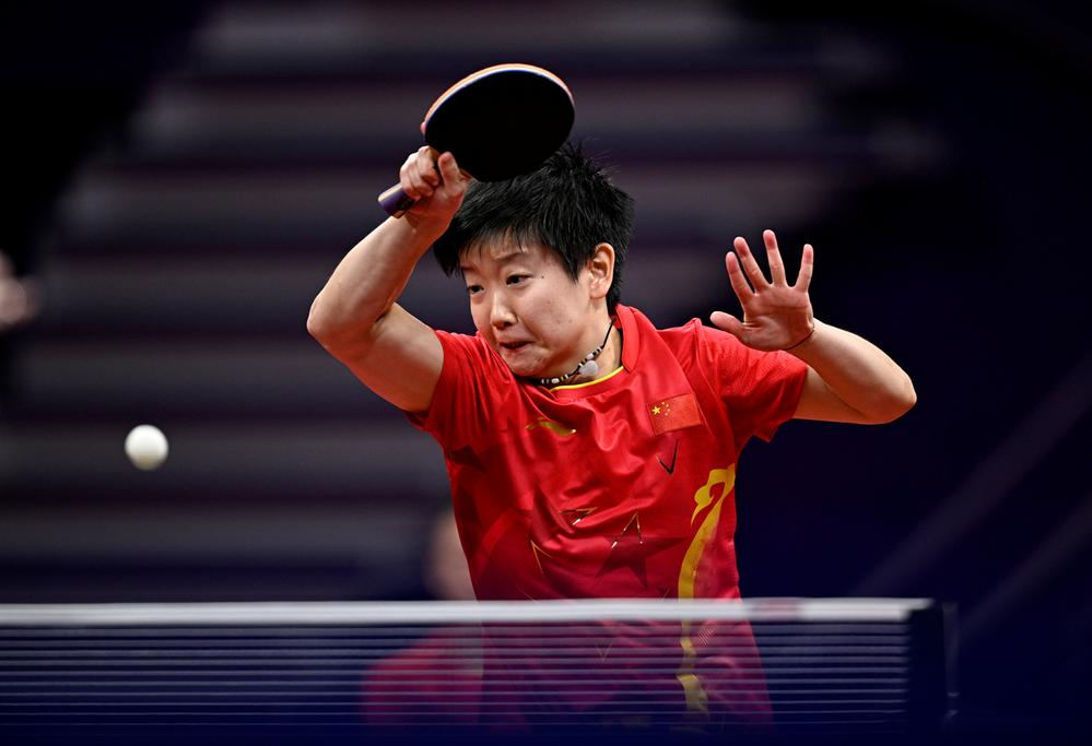 0万欧元的 0万欧元的