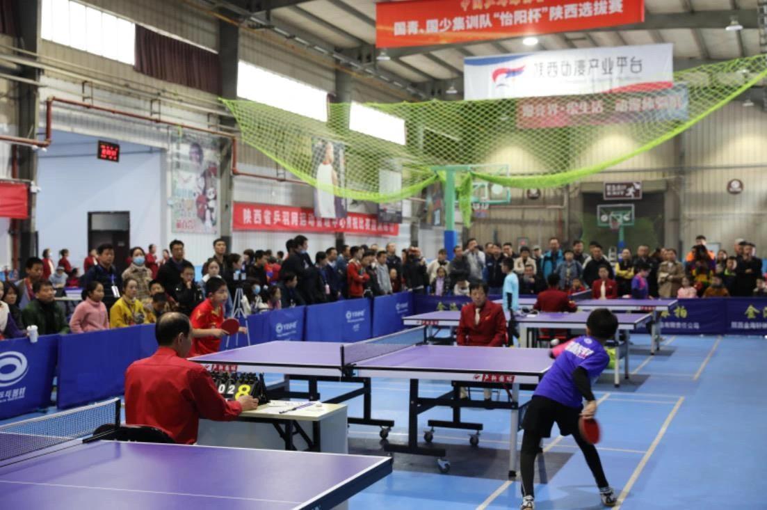 伴所发挥的 伴所发挥的